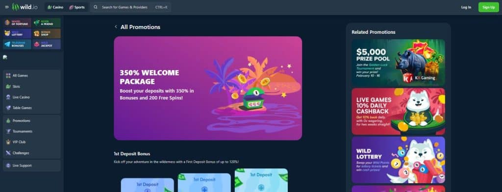A screenshot of the Wild.io Casino Front Page Wild.io - Crypto Exclusive Florida Online Casinos With Rapid Withdrawals